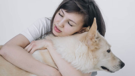 Cómo cuidar a tu mascota (y disfrutar el proceso)